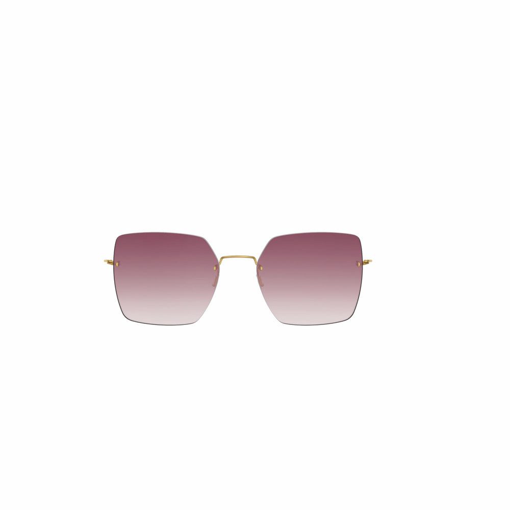 LINDBERG SUN 8110